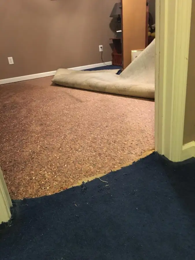 Carpet pad removal revealing water damage during Water Mitigation Services in Kalifornsky