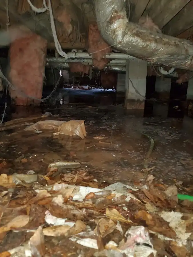 Crawl space flood assessment for Leak Detection & Repair in Kalifornsky