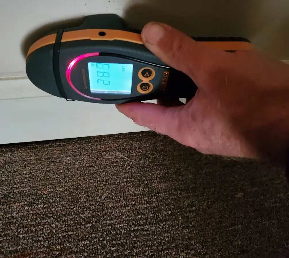 Moisture detection at baseboard during Burst Pipe Cleanup in Kalifornsky